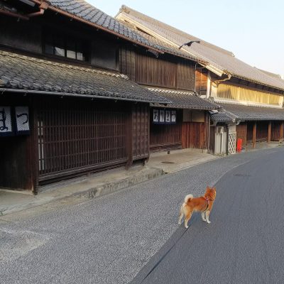 伝統的建造物群保存地区　愛知県 名古屋市（緑区） 有松 染織町